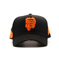 SF FLAMES